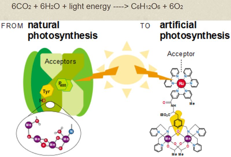 Artificial light online for photosynthesis